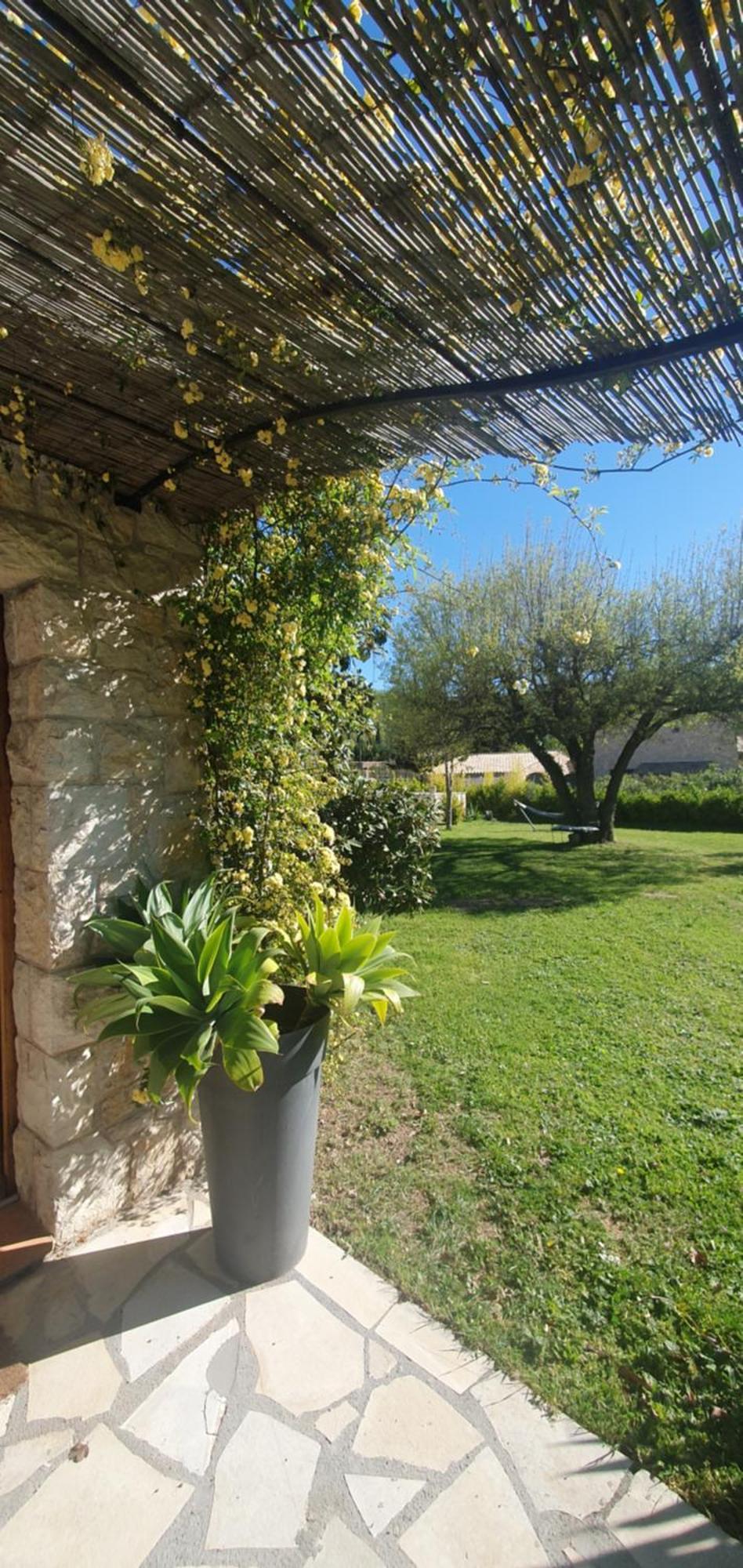 Chez Dom & Albert Saint-Cézaire-sur-Siagne エクステリア 写真